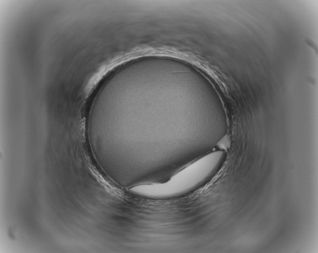 X0000096421503200802141621