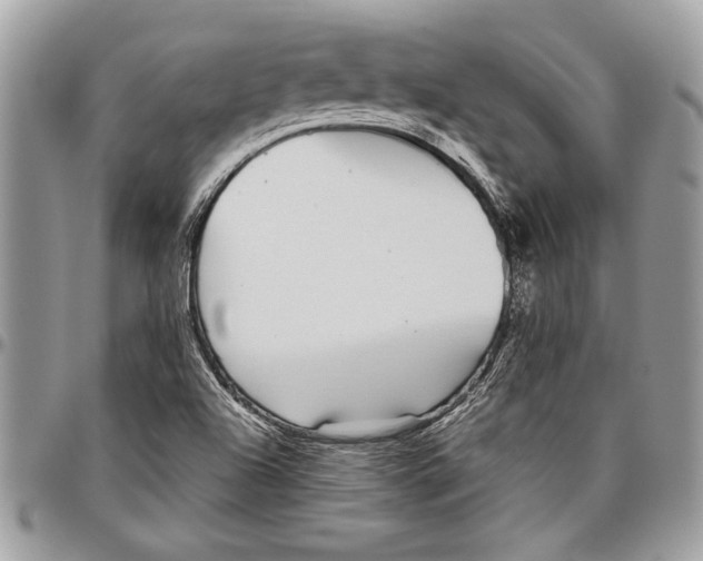 X0000096421504200802141621