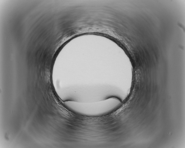 X0000096421505200802141621