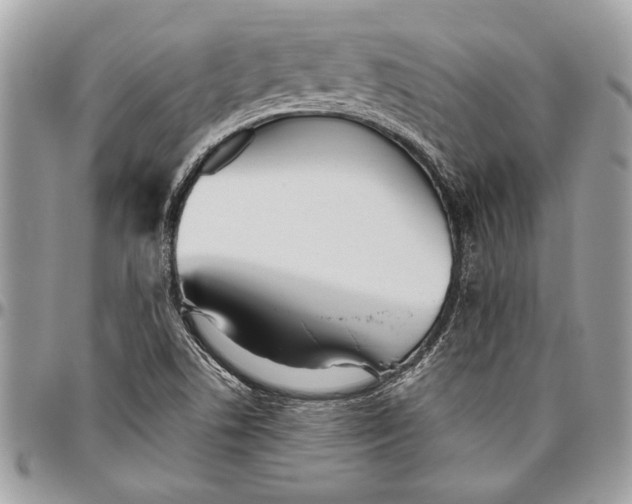 X0000096421506200802141621