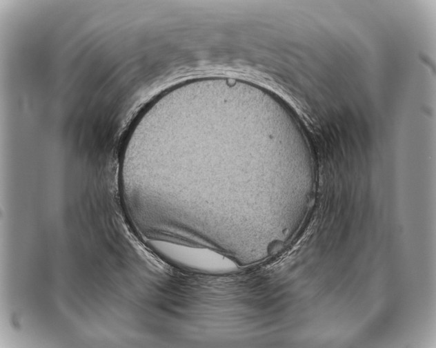 X0000096421507200802141621