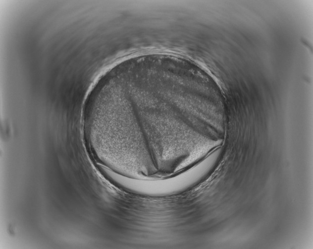 X0000096421508200802141621