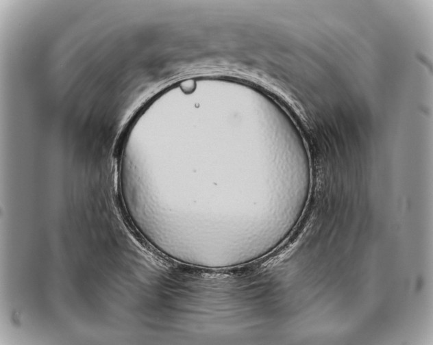 X0000096421509200802141621