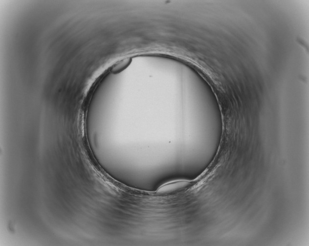 X0000096421510200802141621