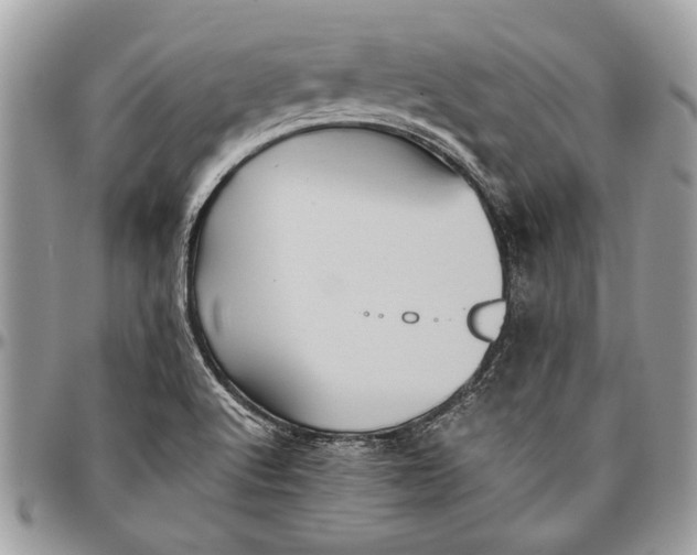 X0000096421512200802141621