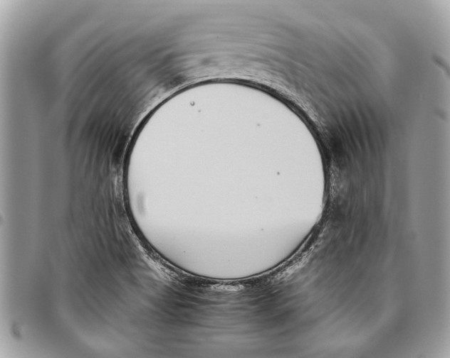 X0000096421513200802141621