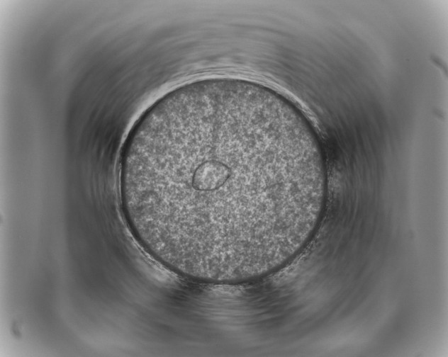 X0000096421514200802141621