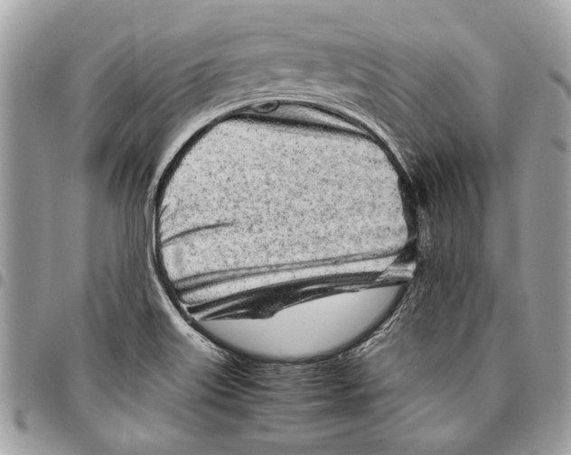 X0000096421515200802141621