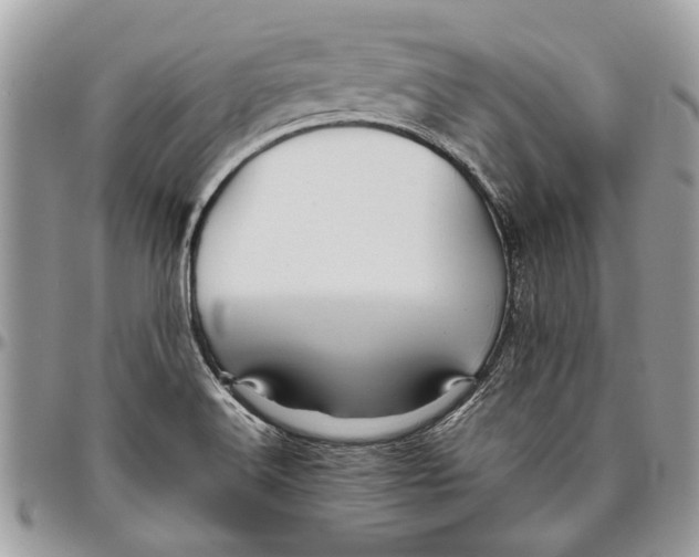 X0000096421516200802141621