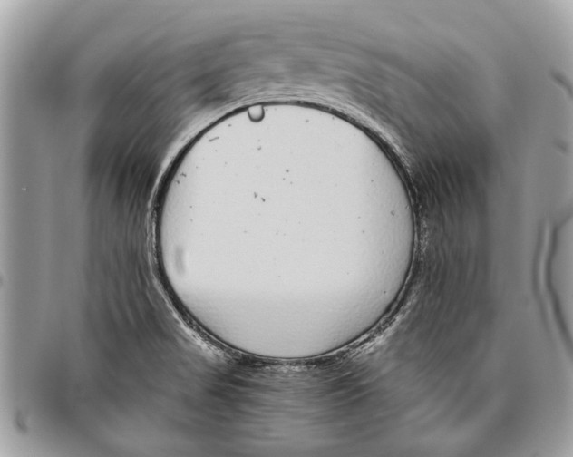 X0000096421517200802141621