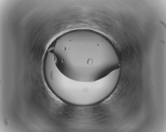 X0000096421518200802141622