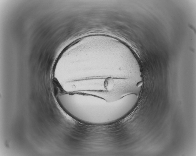 X0000096421519200802141622