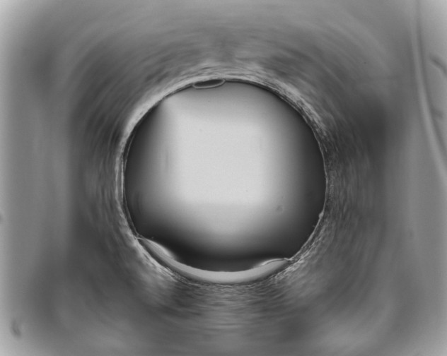 X0000096421520200802141622