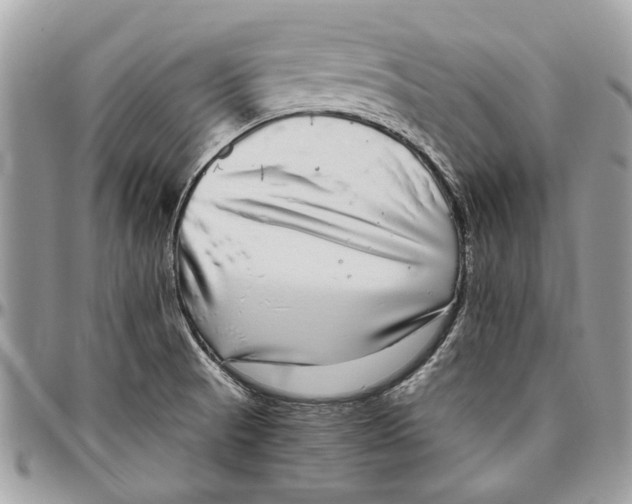 X0000096421521200802141622