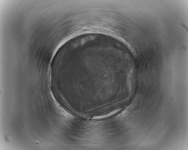 X0000096421522200802141622