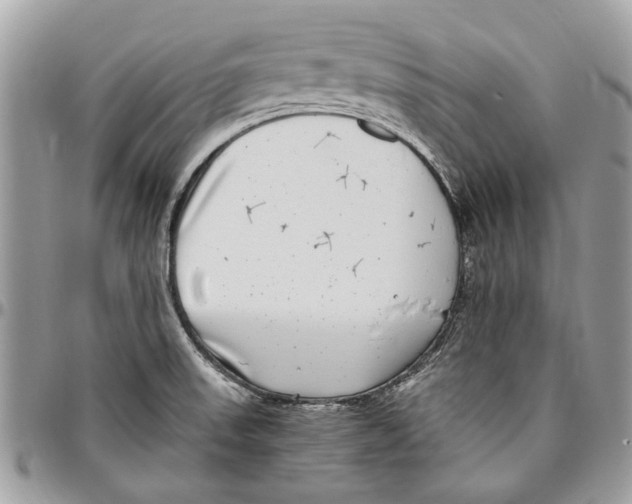 X0000096421523200802141622