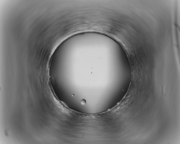 X0000096421524200802141622