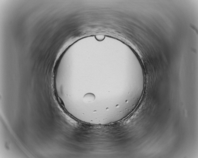 X0000096421525200802141622