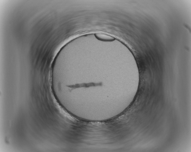 X0000096421526200802141622