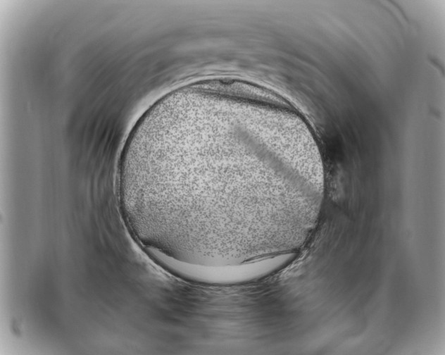 X0000096421527200802141622