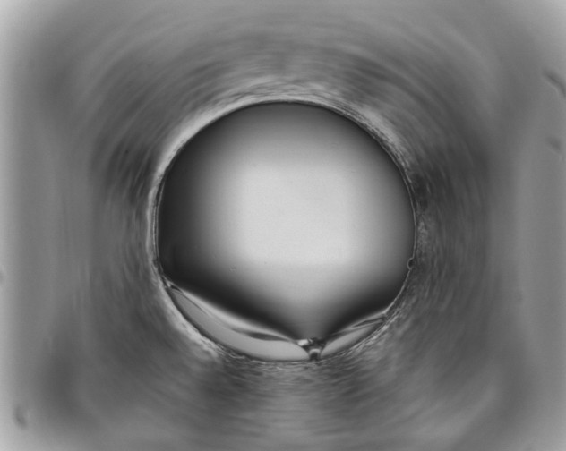 X0000096421528200802141622