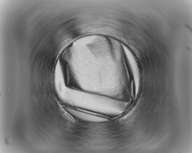 X0000096421529200802141622