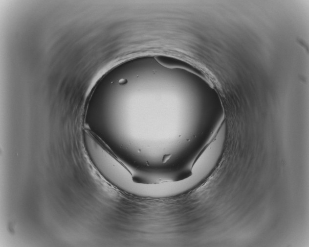 X0000096421530200802141622