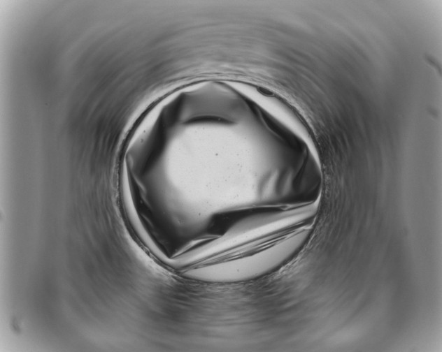 X0000096421531200802141622