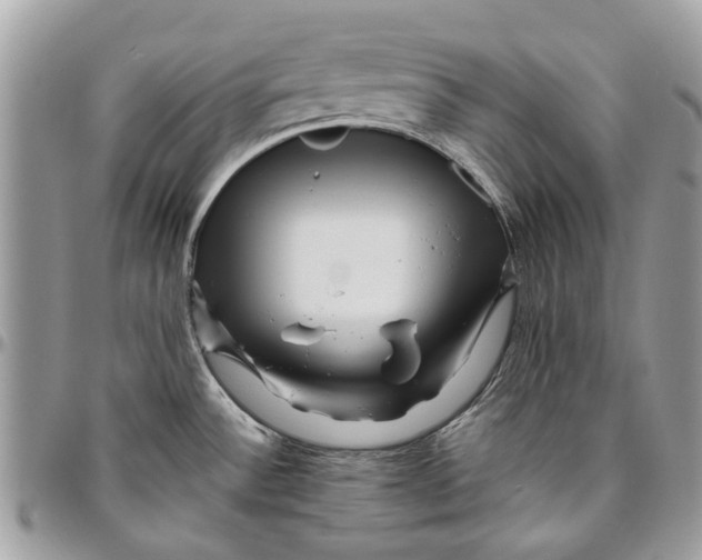 X0000096421532200802141622