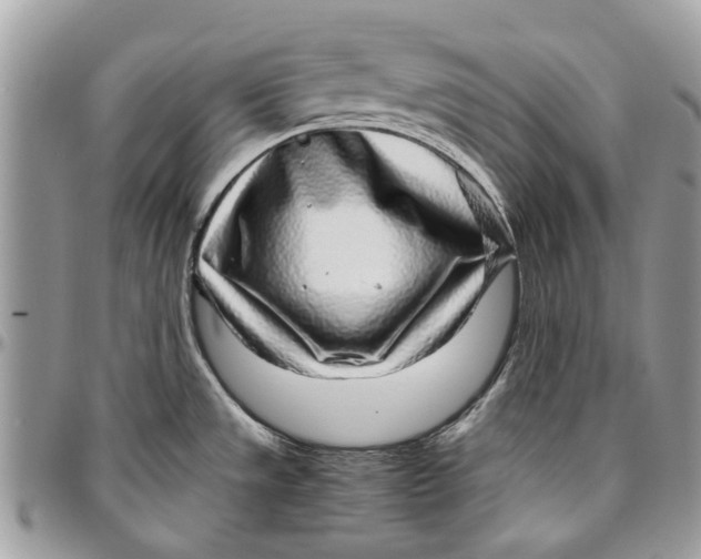 X0000096421533200802141622