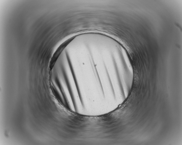 X0000096421534200802141622