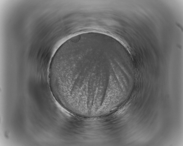 X0000096421535200802141622