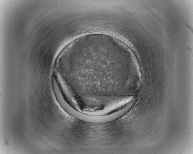 X0000096421536200802141622