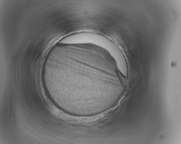 X0000096420001200802211134