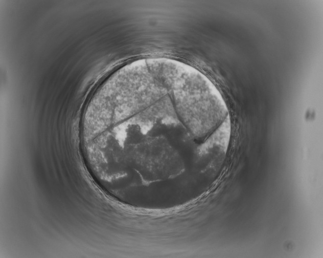 X0000096420002200802211134