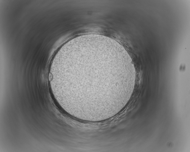 X0000096420004200802211134