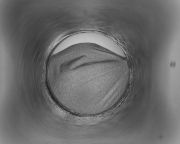 X0000096420005200802211134