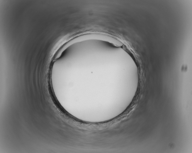 X0000096420007200802211134