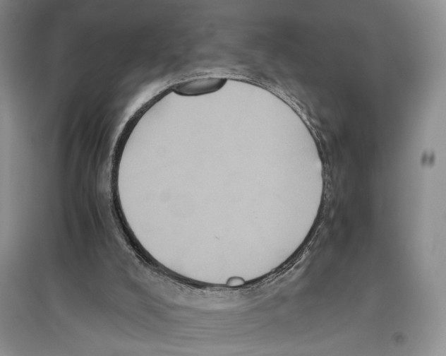 X0000096420008200802211134