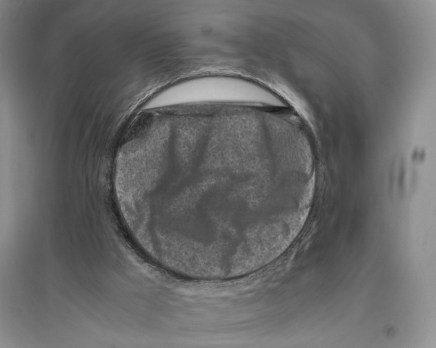 X0000096420009200802211134