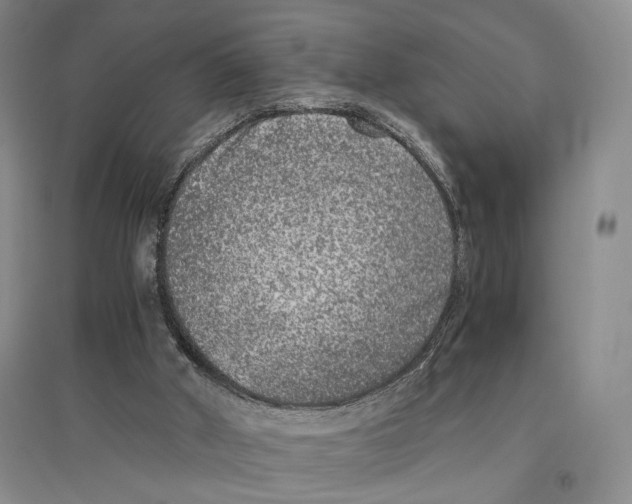 X0000096420010200802211134