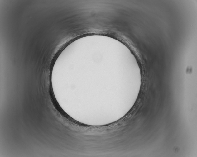X0000096420011200802211134