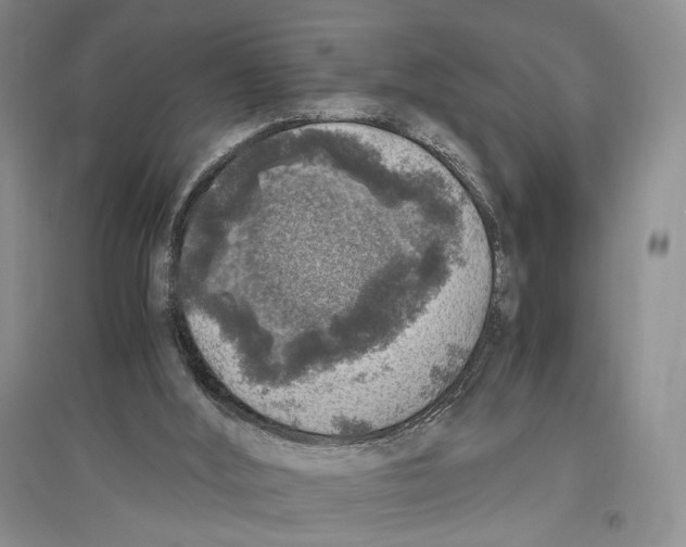 X0000096420012200802211134