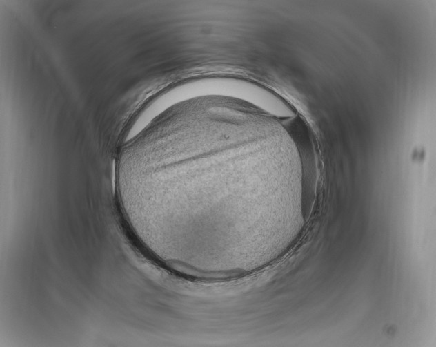 X0000096420013200802211134