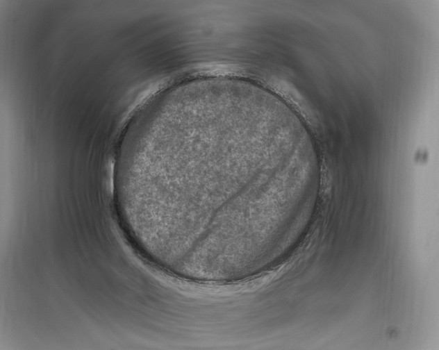 X0000096420014200802211134