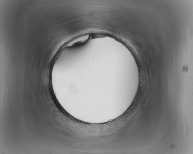 X0000096420015200802211134