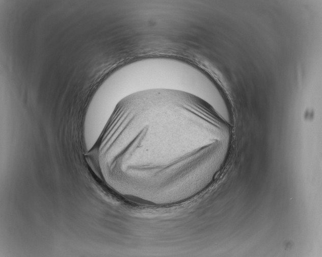 X0000096420017200802211134