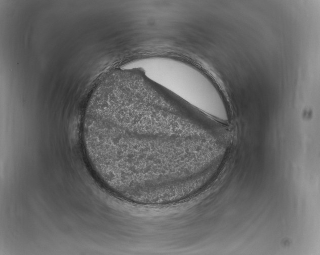 X0000096420018200802211134
