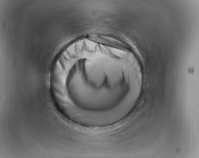 X0000096420019200802211134