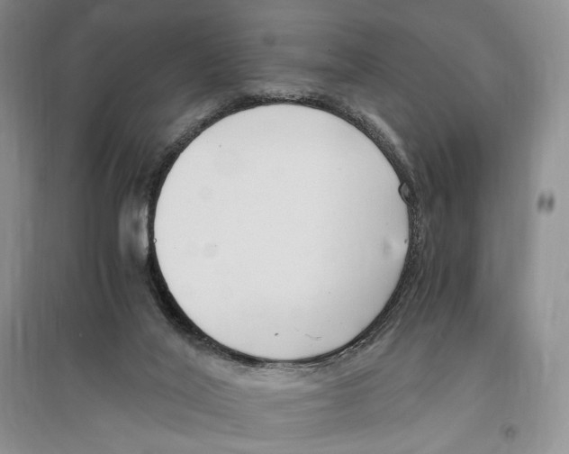 X0000096420020200802211134